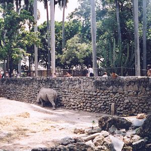 White Rhinoceros Enclosure - Havana Zoo, Cuba 2004