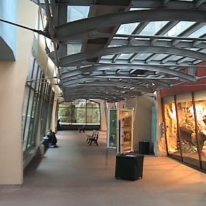 Renovated Wild Cat House Zoo Halle