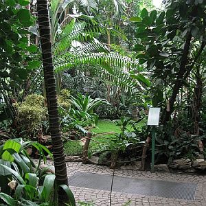 Winter Garden, Antwerp Zoo.
