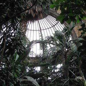 Winter Garden, Antwerp Zoo.