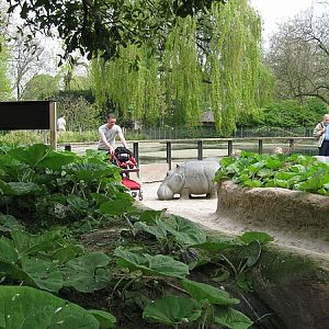 Hippotopia, Antwerp Zoo.