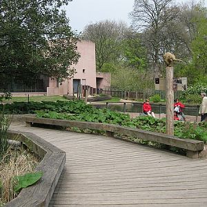 Hippotopia, Antwerp Zoo.