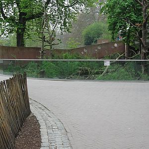 Bear exhibit Antwerp Zoo