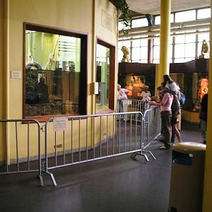 Blijdorp / Rotterdam Zoo Gorillas