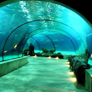 Blijdorp / Rotterdam zoo Oceanium