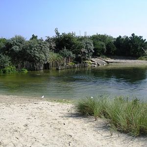 Dolfinarium Harderwijk (NL) Seal
