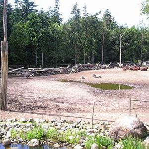 Amersfoort zoo (NL) Savanna
