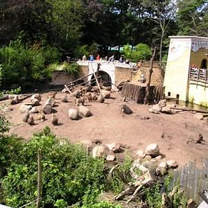 Amersfoort zoo (NL) Ancient city