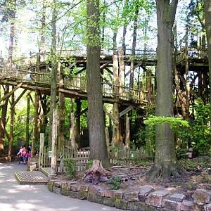 Apenheul / Monkeypark Apeldoorn (NL)