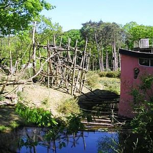 Apenheul / Monkeypark Apeldoorn (NL) Bonobo