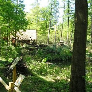 Apenheul / Monkeypark Apeldoorn (NL) Lemurs