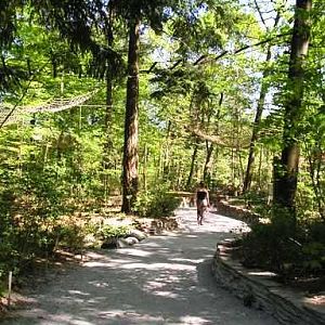 Apenheul / Monkeypark Apeldoorn (NL) Squirrelmonkeys