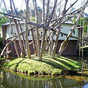 Apenheul / Monkeypark Apeldoorn (NL) Orangutan