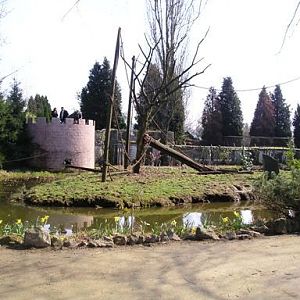 Olmense zoo Olmen/Balen (BE) Capuchin