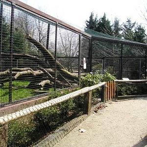 Olmense zoo Olmen/Balen (BE) Casa panthera