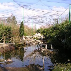 Olmense zoo Olmen/Balen (BE) Aviary