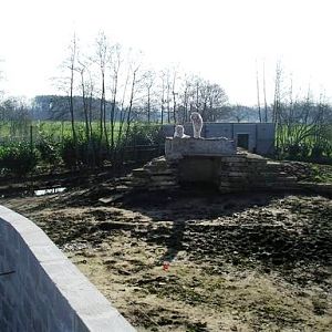 Olmense zoo Olmen/Balen (BE) Tiger