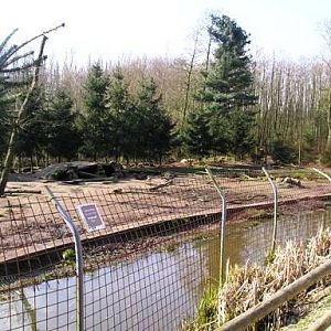 Olmense zoo Olmen/Balen (BE) Wolf