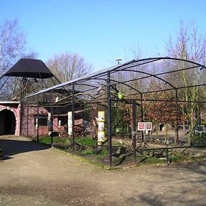 Olmense zoo Olmen/Balen (BE) Birds & gibbons