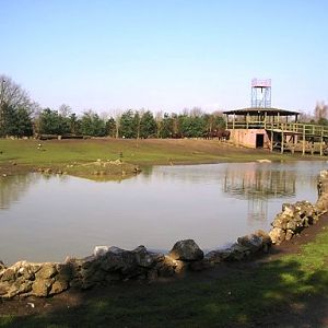 Olmense zoo Olmen/Balen (BE) Savanna