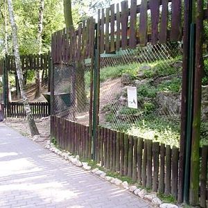 Bratislava (SK) August 2005 Ibex