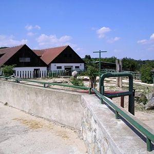 Bratislava (SK) August 2005 Rhino