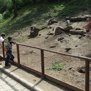 Veszprem Zoo, Prairie Dog exhibit