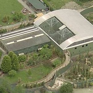 Realm of the Red Ape aerial shot