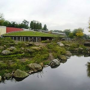 Artis / Amsterdam Savanna