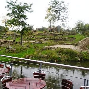 Artis / Amsterdam Oryx