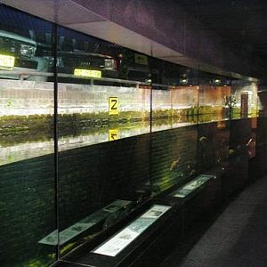 Artis / Amsterdam Aquarium