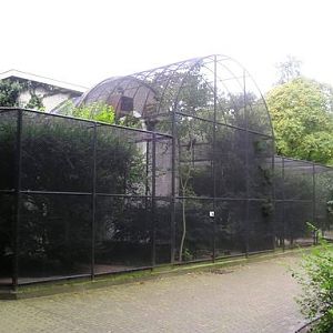 Artis / Amsterdam Birds