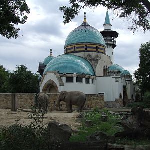 The Elephant House