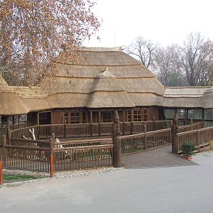 The Crocodile House at Budapest Zoo