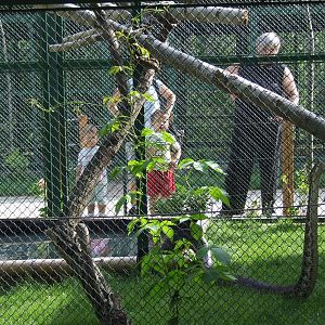 Burmese rock python outdoor enclosure @ Jászberény Zoo, Hungary