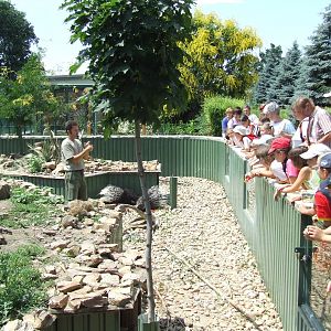 Meerkat & Porcupine mixed-species exhibit @ Jászberény Zoo, Hungary