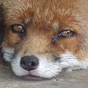 ... be depressed ...