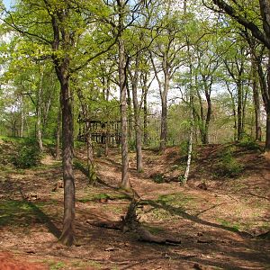 Brown Bear enclosure @ Zoopark Chomutov