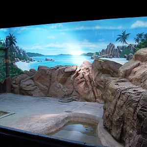 Indoor Aldabra exhibit