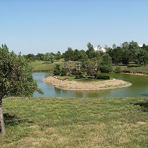 One of the various primate islands