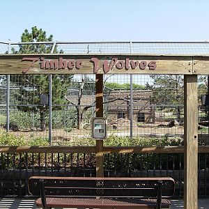 Timber Wolf exhibit