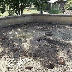 Prairie Dog exhibit