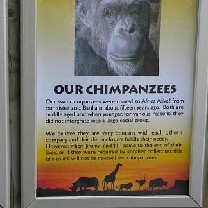 Chimpanzee sign