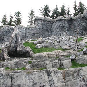 Rocky Mountain Goat Exhibit