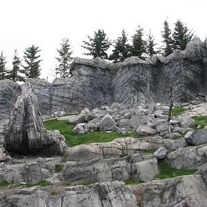 Rocky Mountain Goat Exhibit