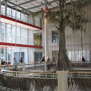 California Academy of Sciences - Steinhart Aquarium Entry