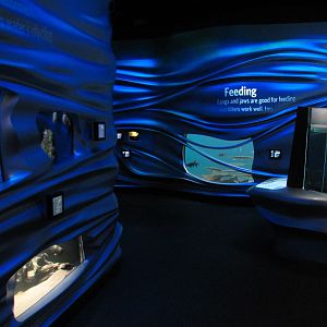 California Academy of Sciences - Steinhart Aquarium