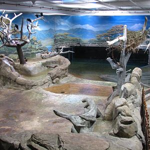 West African River Experience