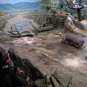 West African River Experience