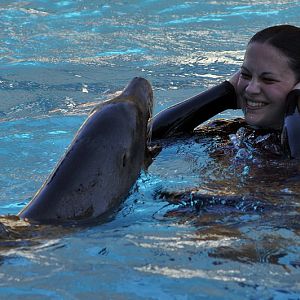 Sealion-Show at marineland ontario